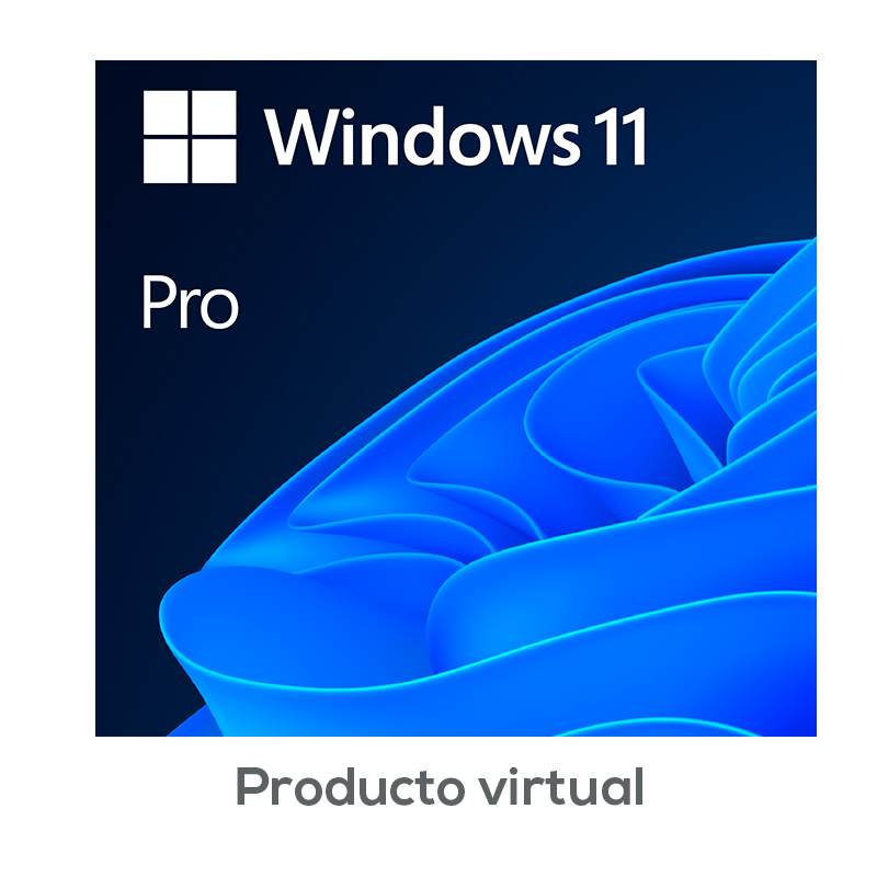 Microsoft Windows Pro 11